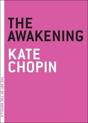 bokomslag Awakening