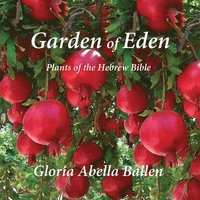 bokomslag Garden of Eden