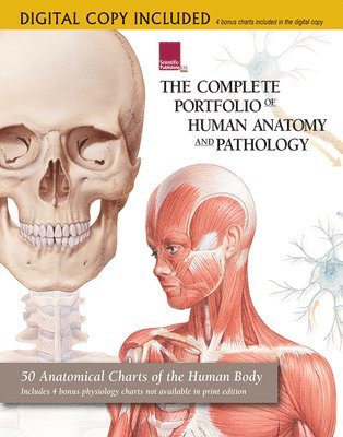 bokomslag Complete Portfolio of Human Anatomy & Pathology