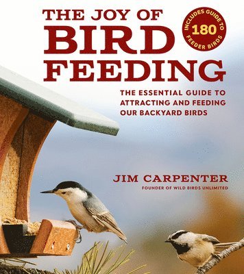 The Joy of Bird Feeding 1