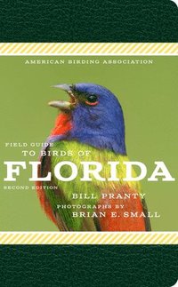 bokomslag Field Guide to Birds of Florida