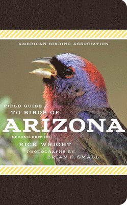 bokomslag American Birding Association Field Guide to Birds of Arizona: Second Edition