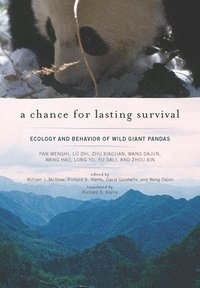 bokomslag A Chance for Lasting Survival
