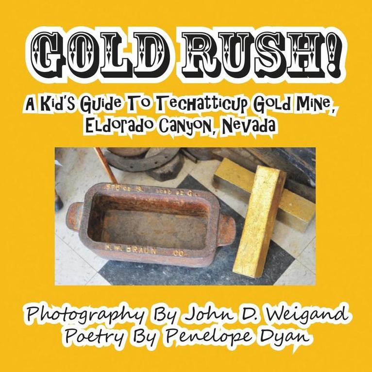 Gold Rush! A Kid's Guide To Techatticup Gold Mine, Eldorado Canyon, Nevada 1