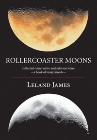 bokomslag Rollercoaster Moons