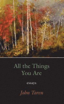 John Toren - All the Things You Are: Essays, Häftad