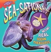 Sea-Sational 1