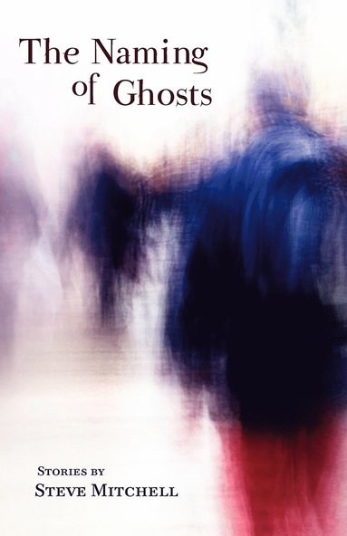 Steve Mitchell - Naming of Ghosts, Häftad