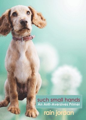 Such Small Hands: An Anti-Aversives Primer 1