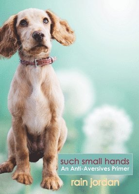 Such Small Hands: An Anti-Aversives Primer