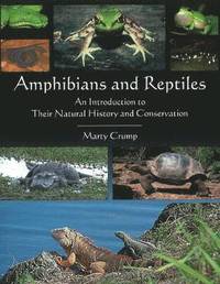 bokomslag Amphibians & Reptiles