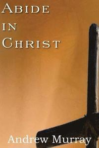 bokomslag Abide in Christ