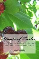 Joel Comiskey - Groups of Twelve: A new way to mobilize leaders and multiply groups in your chur, Häftad
