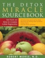 bokomslag Detox Miracle Sourcebook