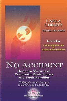 No Accident 1