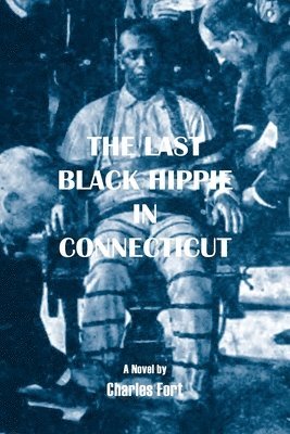 bokomslag The Last Black Hippie in Connecticut