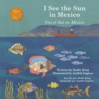bokomslag I See the Sun in Mexico