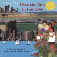 bokomslag I See the Sun in the USA Volume 8