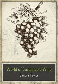 bokomslag The Business of Sustainable Wine