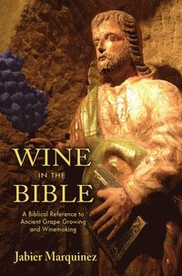 bokomslag Wine in the Bible