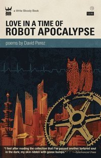 bokomslag Perez, D: Love in a Time of Robot Apocalypse