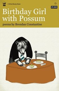 bokomslag Birthday Girl with Possum