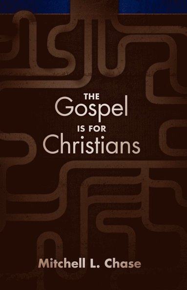 bokomslag The Gospel Is for Christians