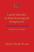 Mestizaje and Hibridez: Latin@ Identity in Pneumatological Perspective