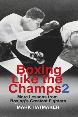Boxing Like the Champs 2