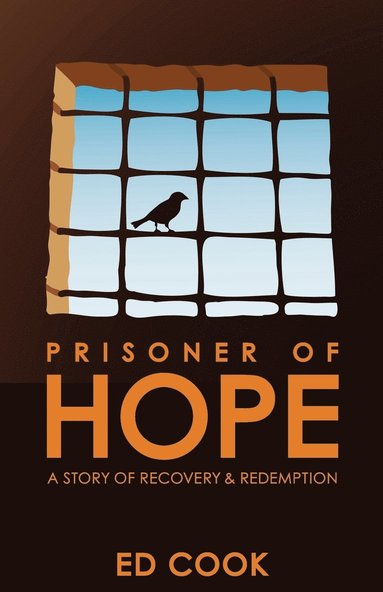 bokomslag Prisoner of Hope