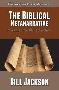 bokomslag The Biblical Metanarrative