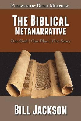 bokomslag The Biblical Metanarrative