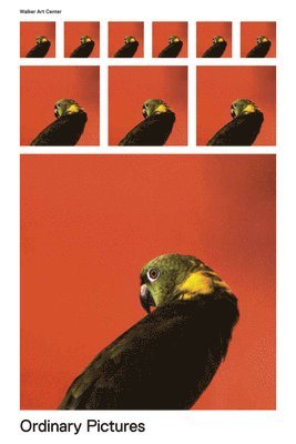 Eric Crosby - Ordinary Pictures, Häftad