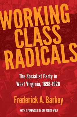 bokomslag Working Class Radicals