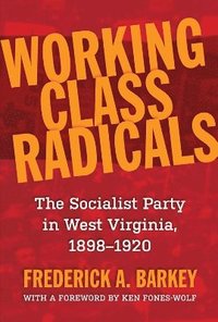bokomslag Working Class Radicals
