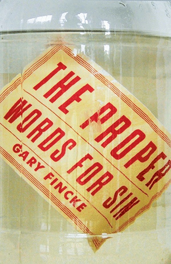 Gary Fincke - Proper Words for Sin, Häftad