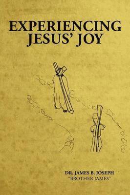 bokomslag Experiencing Jesus' Joy