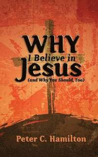 bokomslag Why I Believe in Jesus (and Why You Should, Too)