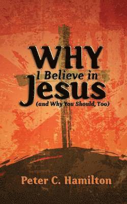 bokomslag Why I Believe in Jesus (and Why You Should, Too)