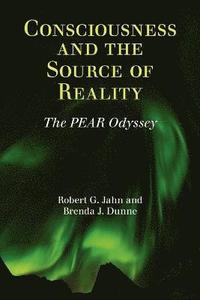 bokomslag Consciousness and the Source of Reality