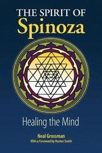 bokomslag The Spirit of Spinoza