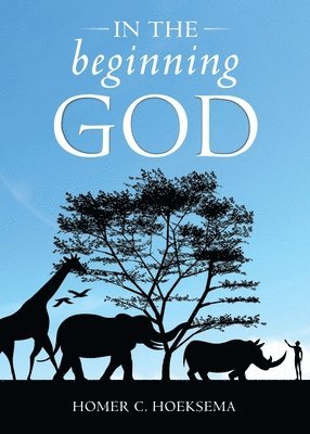 bokomslag In the Beginning God