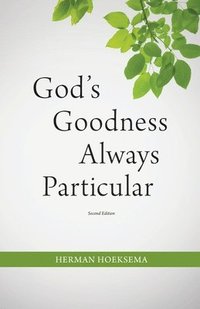 bokomslag God's Goodness Always Particular