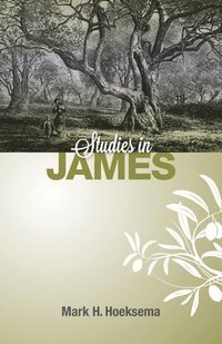 bokomslag Studies in James