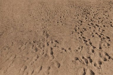 bokomslag Anthony Hernandez: Beach Pictures, 1969-70