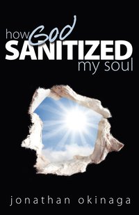 bokomslag How God Sanitized My Soul