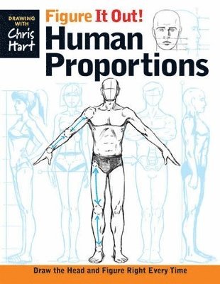 Figure It Out! Human Proportions 1