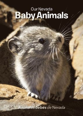 Jerri Conrad - Our Nevada: Baby Animals, Kartonnage