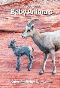 bokomslag Our Arizona: Baby Animals