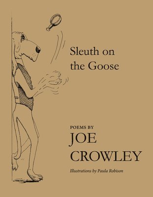 bokomslag Sleuth on the Goose